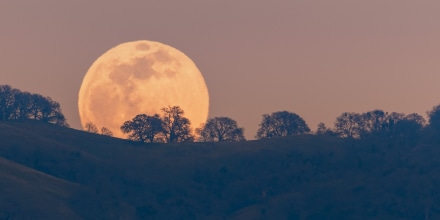Full moon rising from behind a hill in the Diablo Mountain Range, in South San Francisco Bay Area, San Jose, California; visible distortion due to heat and pollution
